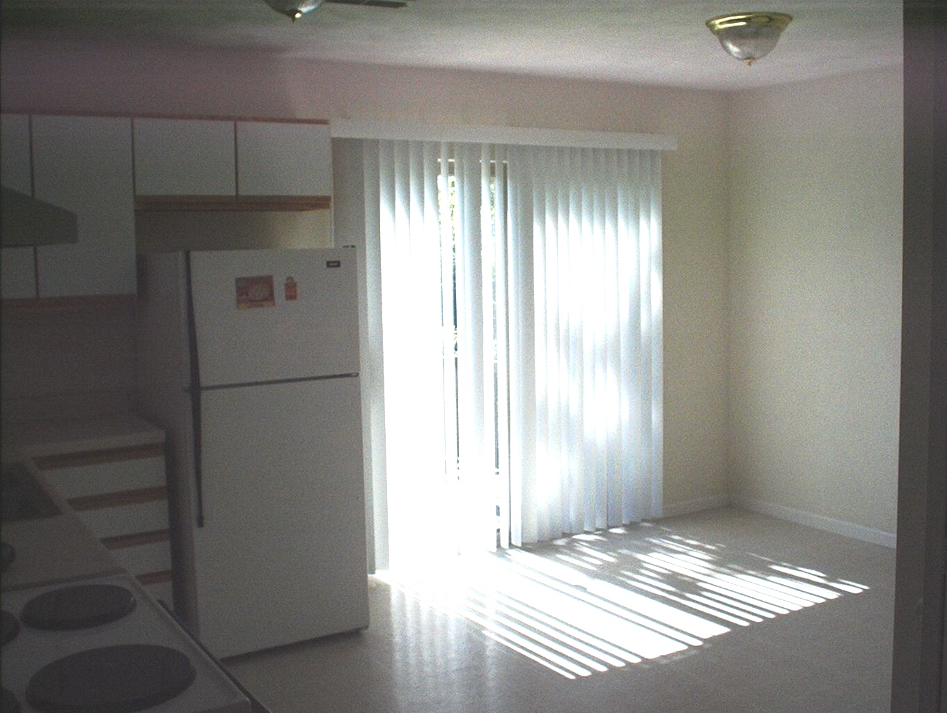 IMAG0001.JPG